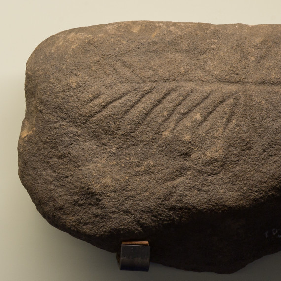 The Zeichensteine