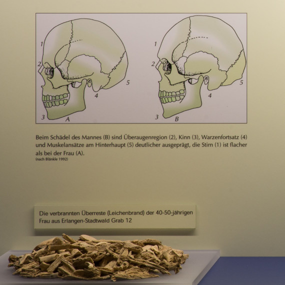 Anthropology and Archaeology